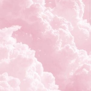 Meet your Posher, Esmeralda